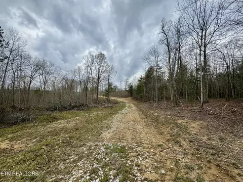 John Nitzscheke Rd, Sunbright, TN 37872 photo 20