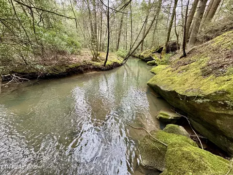 John Nitzscheke Rd, Sunbright, TN 37872 photo 34