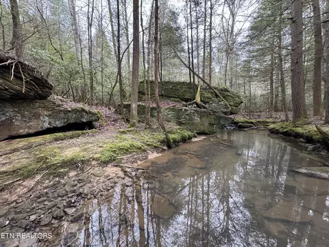 John Nitzscheke Rd, Sunbright, TN 37872 photo 39