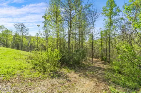 View/Area - 517 E Brushy Valley Dr, Powell, TN 37849 photo 2 of 9