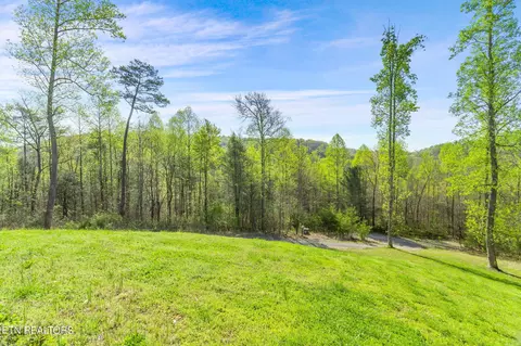 Exterior - 517 E Brushy Valley Dr, Powell, TN 37849 photo 9 of 18