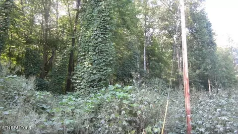 01 Snake Hollow Rd, Sneedville, TN 37869