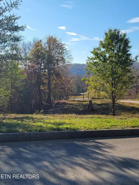308 Caney View Dr, Harriman, TN 37748
