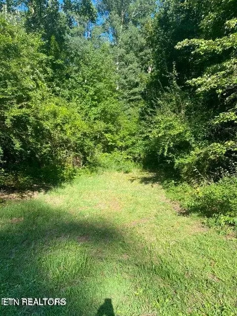 lot Apt 2 Whaley Ln, Knoxville, TN 37920