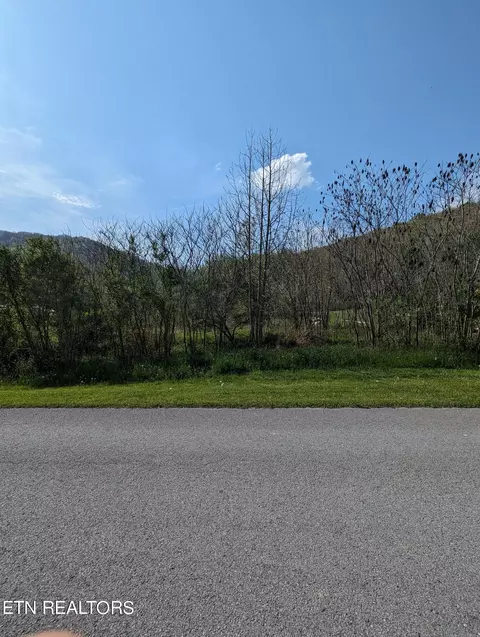 217 Windermere Dr, Middlesboro, KY 40965 photo 1