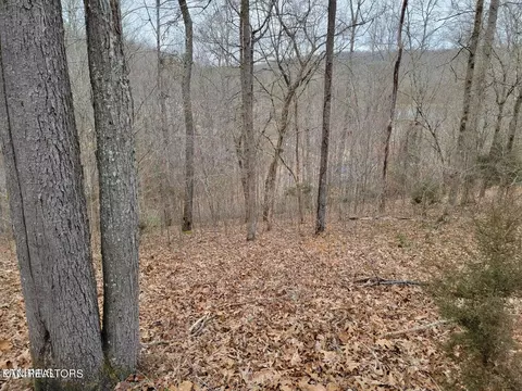 Big Creek Lane, La Follette, TN 37766