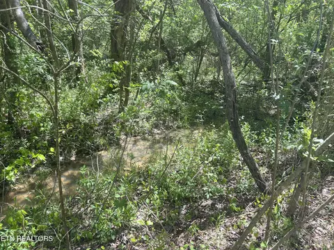 Dunn Rd, Tellico Plains, TN 37385
