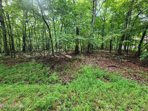 120 Darwin Ln, Fairfield Glade, TN 38558