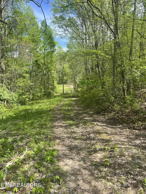199 Lick Skillet Rd, Maynardville, TN 37807