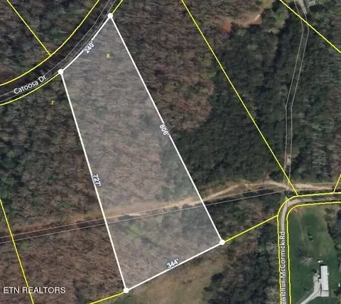 Catoosa Woods Drive, Lancing, TN 37770