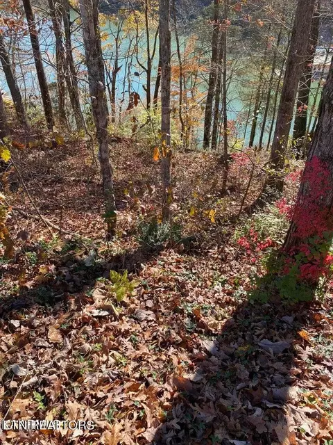 Indian River Bd Rd, Jacksboro, TN 37757