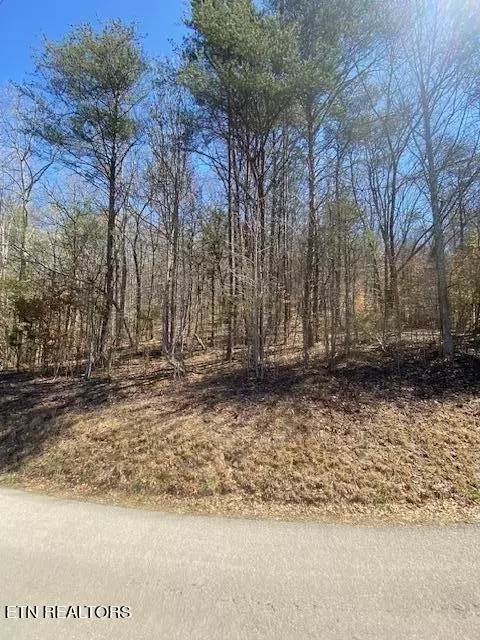 0 Blackburn Ln, Lenoir City, TN 37771