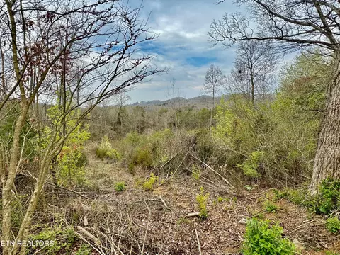 Overlook Lane, Clinton, TN 37716