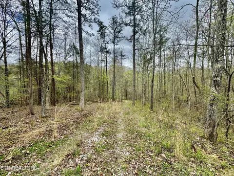 488 Ashe Cabin Hollow Rd, Harriman, TN 37748