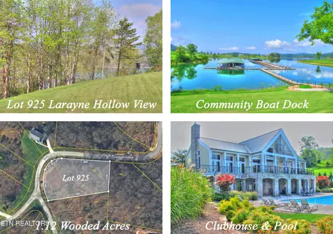 Lot 925 Larayne Hollow Rd, Sharps Chapel, TN 37866