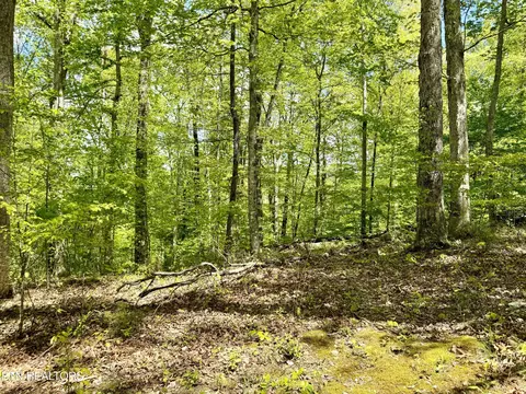 N Shorewood Lane, Caryville, TN 37714