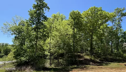 E Shore Drive, Rockwood, TN 37854