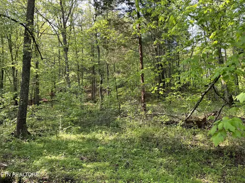 lot3 Womack Hollow Rd, Ten Mile, TN 37880