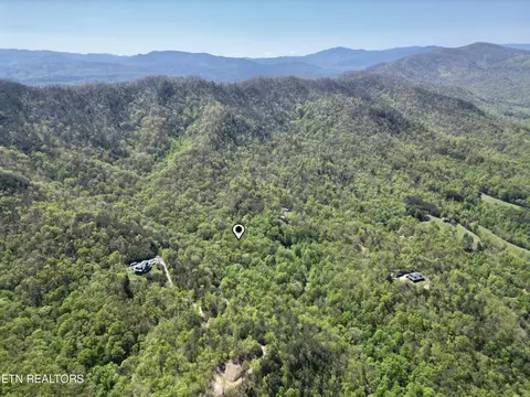 4 9 Acres Critter Valley Way, Newport, TN 37821