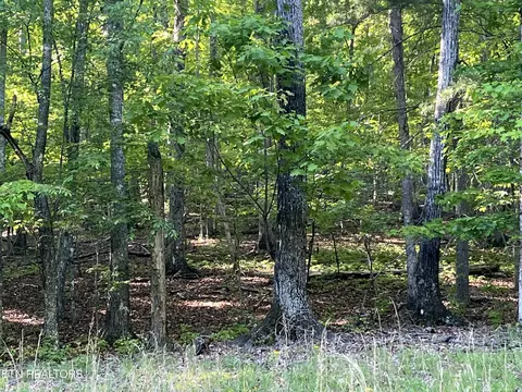 lot695 Rockview Dr, Spring City, TN 37381
