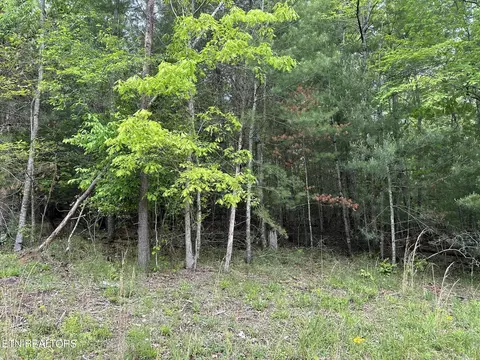 114 Forest Hill Dr, Fairfield Glade, TN 38558