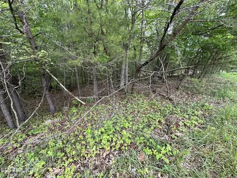 110 Forest Hill Dr, Fairfield Glade, TN 38558