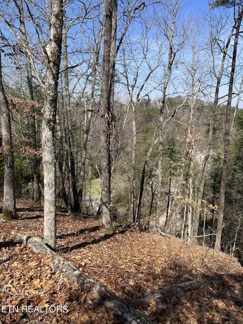 91 Chickasaw Gap Way, Sevierville, TN 37863