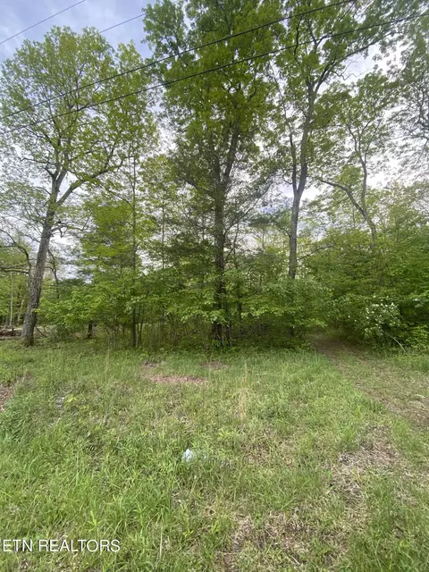 3208 Oswego Rd, Crossville, TN 38572