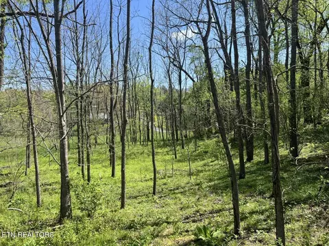0 Spring View Dr, Sevierville, TN 37862 photo 18