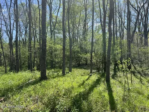 0 Spring View Dr, Sevierville, TN 37862 photo 17