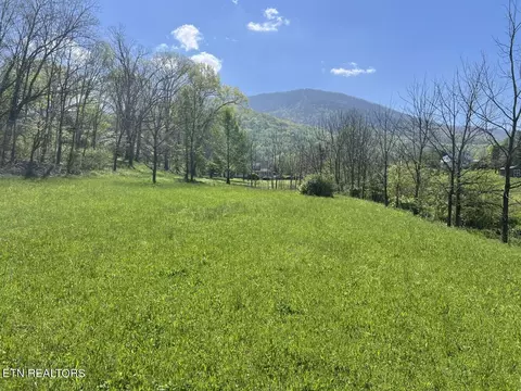 0 Spring View Dr, Sevierville, TN 37862 photo 2