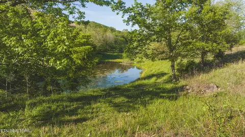 16 Big Springs Rd # R, Eidson, TN 37731