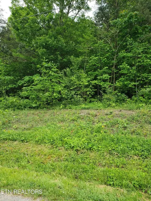 23 Lonesome Dove Lane, Speedwell, TN 37870
