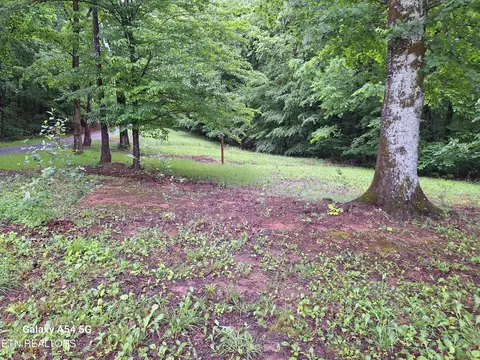 Meadow Rd West, Greenback, TN 37742
