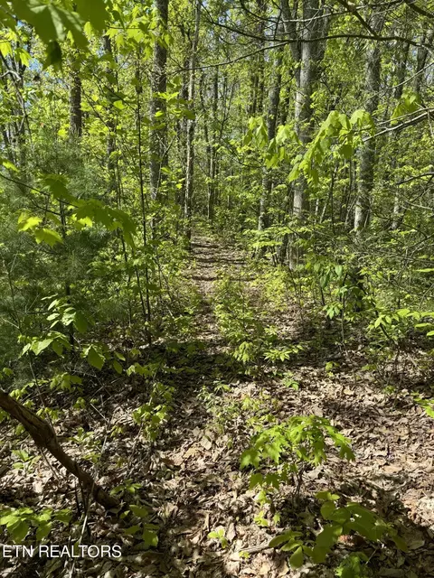 482 Pearl Valley Rd, Sevierville, TN 37876