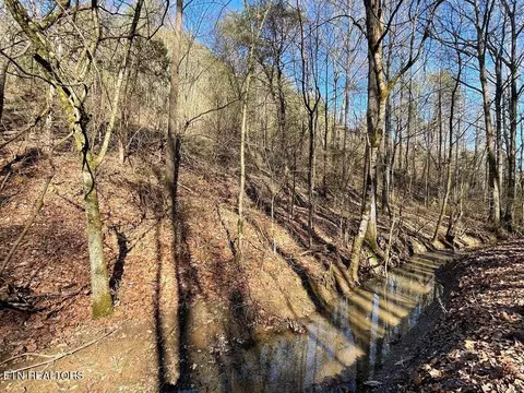 Hwy 160 Newport, Newport, TN 37821