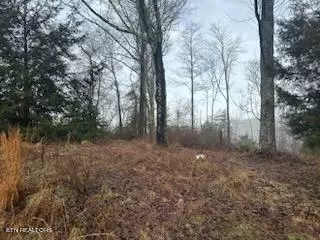 410 Leopper Rd, Harriman, TN 37748