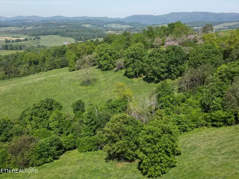 10 Buffalo Springs Road, Rutledge, TN 37861