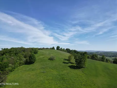 16 Buffalo Springs Road, Rutledge, TN 37861