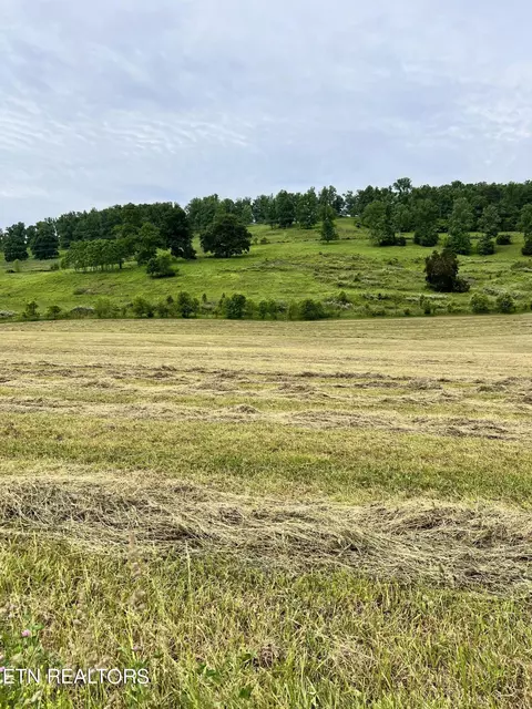 5 Tennessee 92, Rutledge, TN 37861