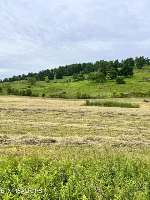 6 Tennessee 92, Rutledge, TN 37861
