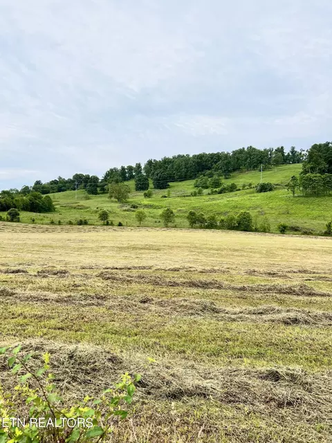 7 Tennessee 92, Rutledge, TN 37861