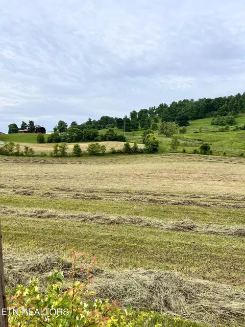 8 Tennessee 92, Rutledge, TN 37861
