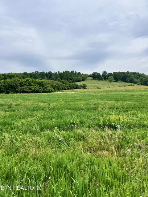 11 Buffalo Springs Road, Rutledge, TN 37861