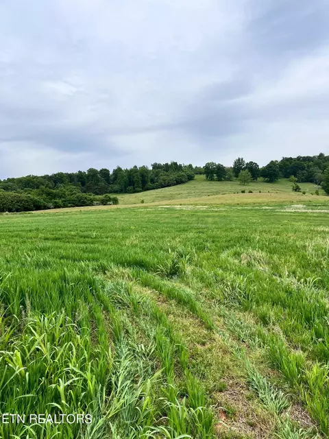 12 Buffalo Springs Road, Rutledge, TN 37861