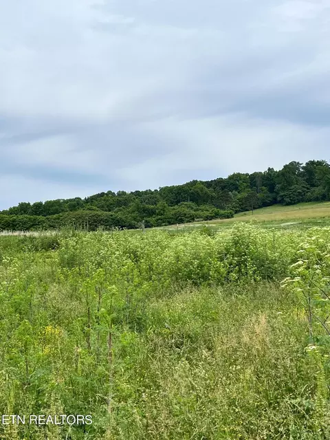 13 Buffalo Springs Road, Rutledge, TN 37861