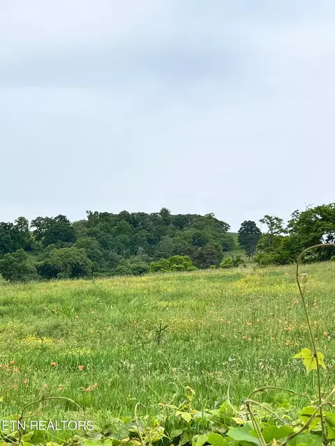 14 Buffalo Springs Road, Rutledge, TN 37861