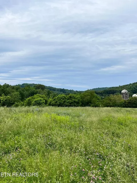 17 Buffalo Springs Road, Rutledge, TN 37861
