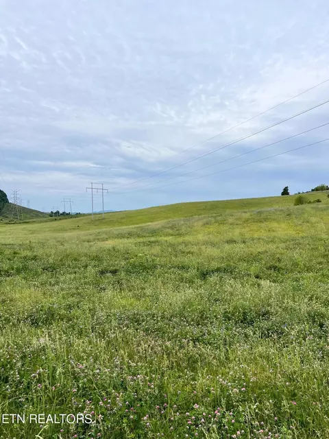 18 Buffalo Springs Road, Rutledge, TN 37861