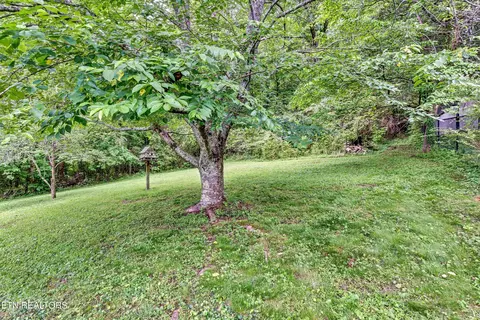 Exterior - 418 Ivanhoe Rd, Powell, TN 37849 photo 9 of 12